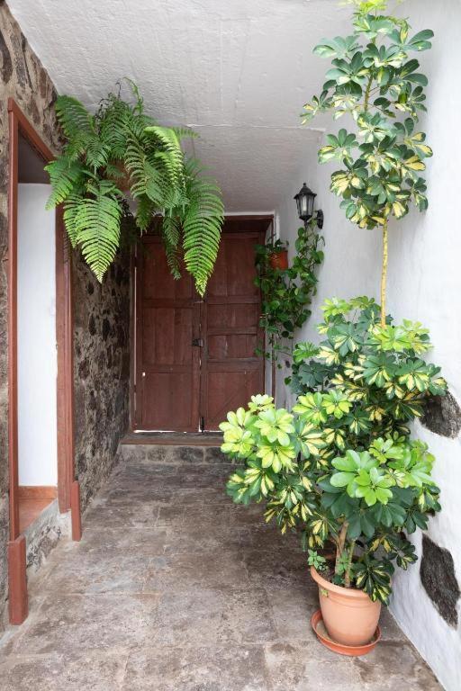 Casa Canaria Acero غاراتْشيكو المظهر الخارجي الصورة