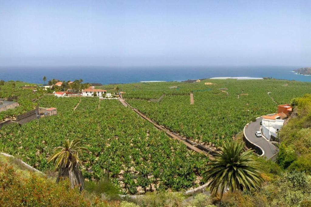 Casa Canaria Acero غاراتْشيكو المظهر الخارجي الصورة